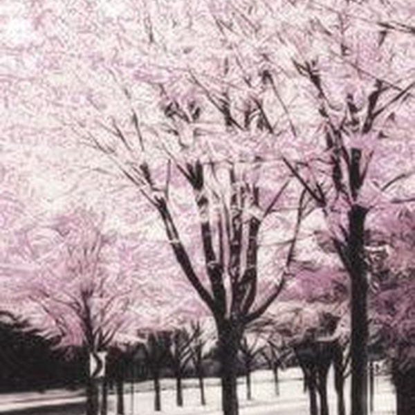 Sophisticated Pink Winter Tree Design Ideas That Looks So Cute 06