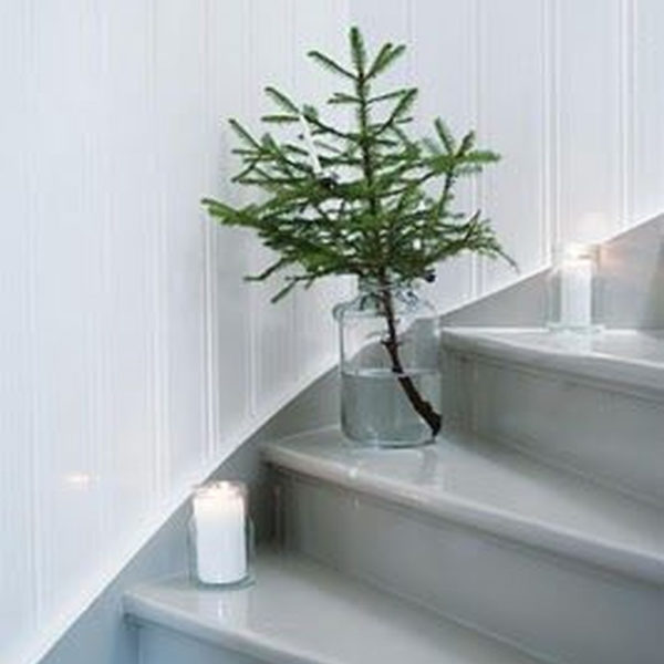 Delicate Tiny Winter Trees Design Ideas That You Should Try 09