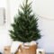 Delicate Tiny Winter Trees Design Ideas That You Should Try 32