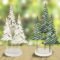 Delicate Tiny Winter Trees Design Ideas That You Should Try 37