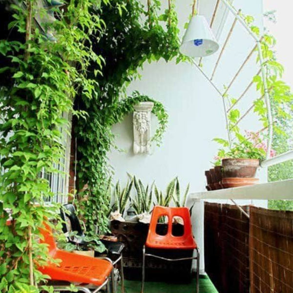 Fantastic Balcony Garden Design Ideas For Relaxing Places To Try 05