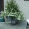 Luxury Container Garden Design Ideas For Your Landscaping Design 05
