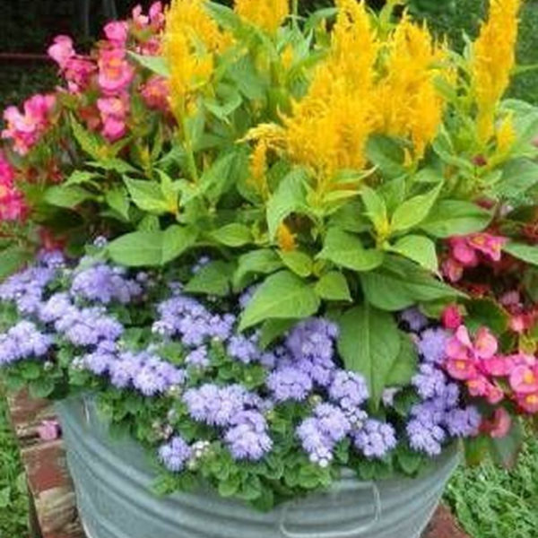Luxury Container Garden Design Ideas For Your Landscaping Design 12