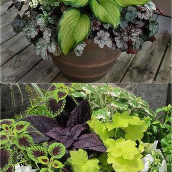 Luxury Container Garden Design Ideas For Your Landscaping Design 15