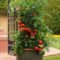 Luxury Container Garden Design Ideas For Your Landscaping Design 18
