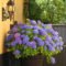Luxury Container Garden Design Ideas For Your Landscaping Design 20