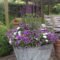 Luxury Container Garden Design Ideas For Your Landscaping Design 21