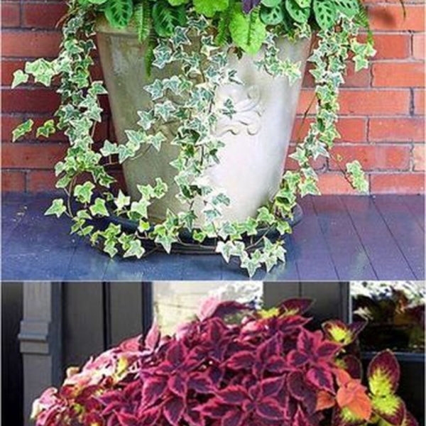 Luxury Container Garden Design Ideas For Your Landscaping Design 28