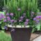 Luxury Container Garden Design Ideas For Your Landscaping Design 32