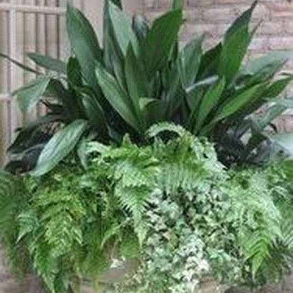 Luxury Container Garden Design Ideas For Your Landscaping Design 36
