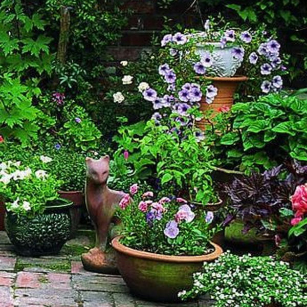 Luxury Container Garden Design Ideas For Your Landscaping Design 38