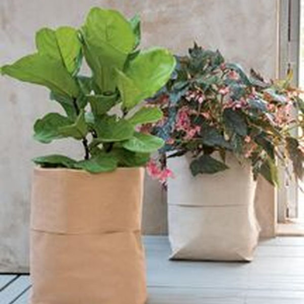 Splendid Recycled Planter Design Ideas That You Need To Try 12
