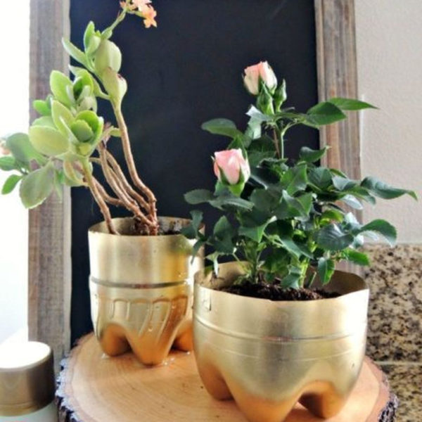 Splendid Recycled Planter Design Ideas That You Need To Try 13