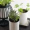 Splendid Recycled Planter Design Ideas That You Need To Try 15