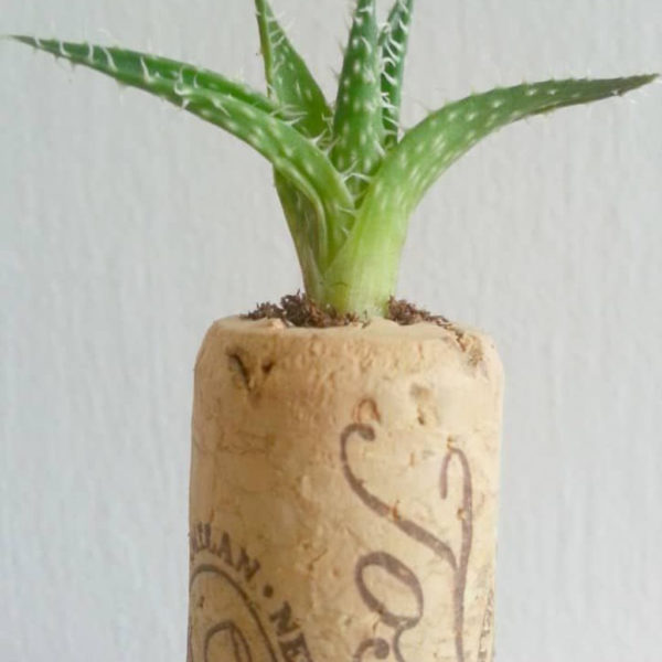 Splendid Recycled Planter Design Ideas That You Need To Try 17