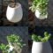 Splendid Recycled Planter Design Ideas That You Need To Try 21