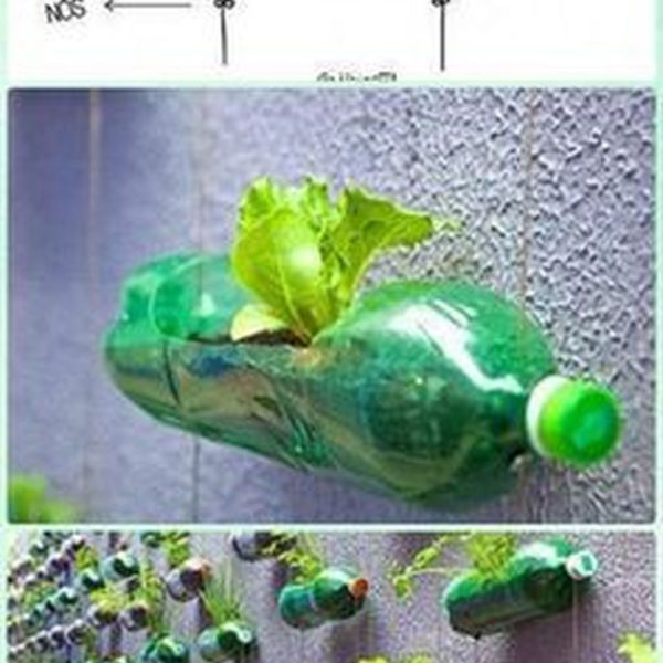 Splendid Recycled Planter Design Ideas That You Need To Try 25