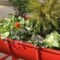 Splendid Recycled Planter Design Ideas That You Need To Try 39