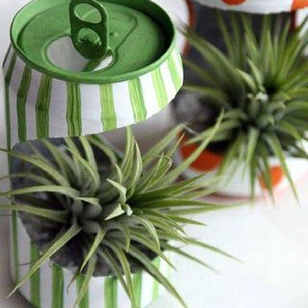 Splendid Recycled Planter Design Ideas That You Need To Try 44