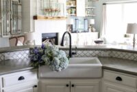 Double Farm Sinks For Kitchens